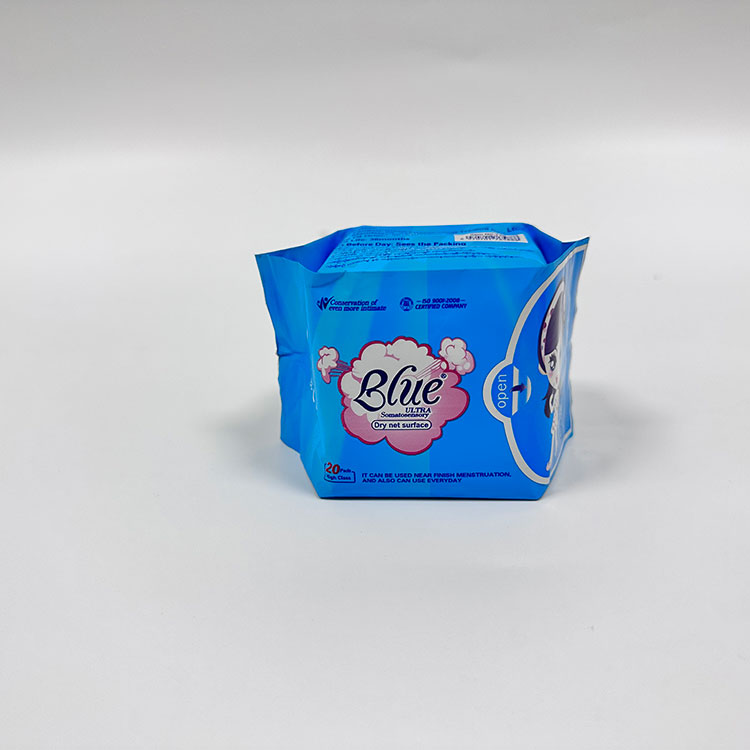 Nola hobetu ditzakete zapi sanitario funtzionalek erosotasuna eta higienea?